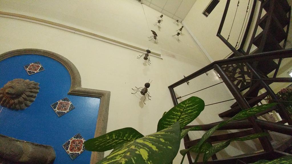 Hotel Armonia Hostal San Salvador Extérieur photo
